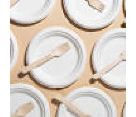 Extra Disposable servies